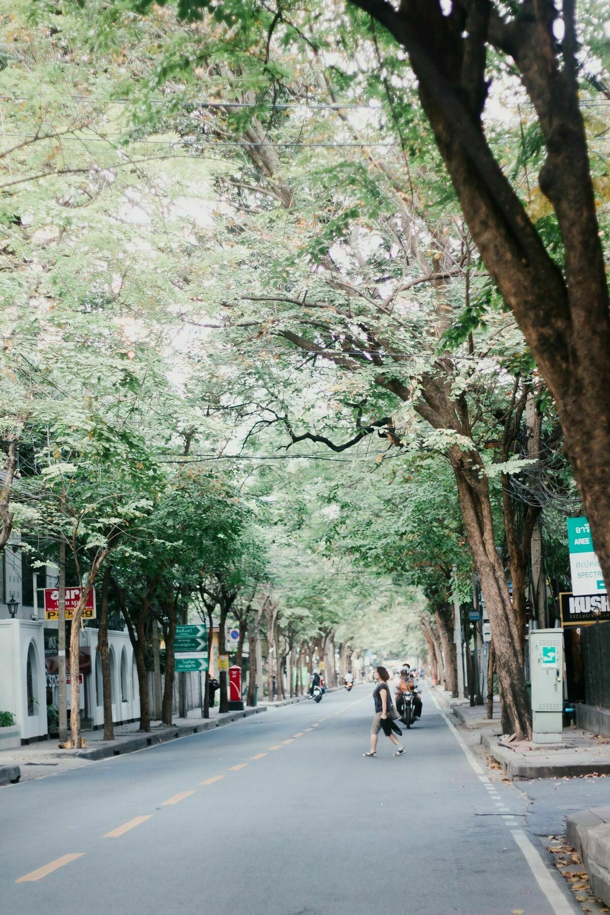 Weeping Willow Sukhumvit 26 Μπανγκόκ Εξωτερικό φωτογραφία